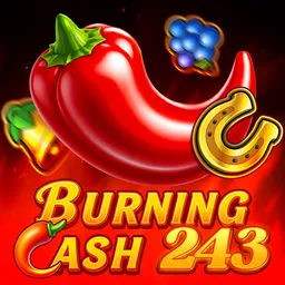 Burning Cash 243